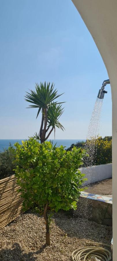 Casa Colomba Sant'Angelo Sant'Angelo (Isola d'Ischia) Exterior foto